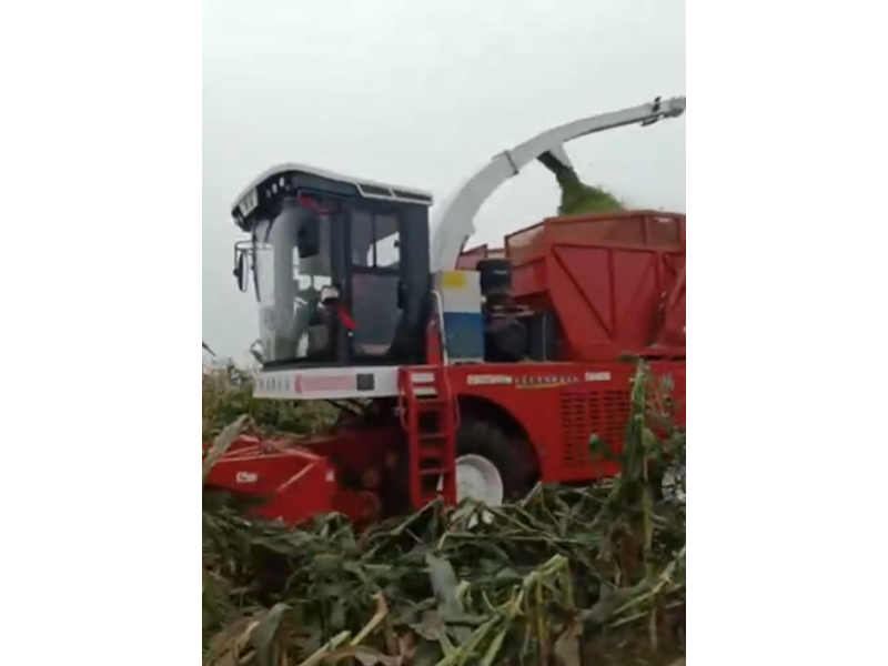 輪式豪華版收割倒伏玉米打入草箱作業